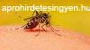 Szúnyogirtás, biológiai szúnyogirtás